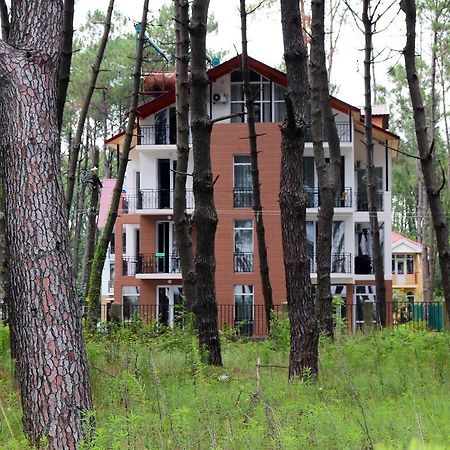 Gina Shekvetili Hotel Kültér fotó