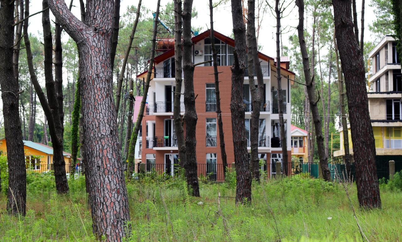 Gina Shekvetili Hotel Kültér fotó