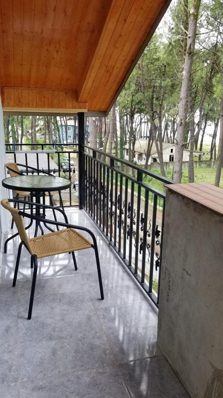 Gina Shekvetili Hotel Kültér fotó